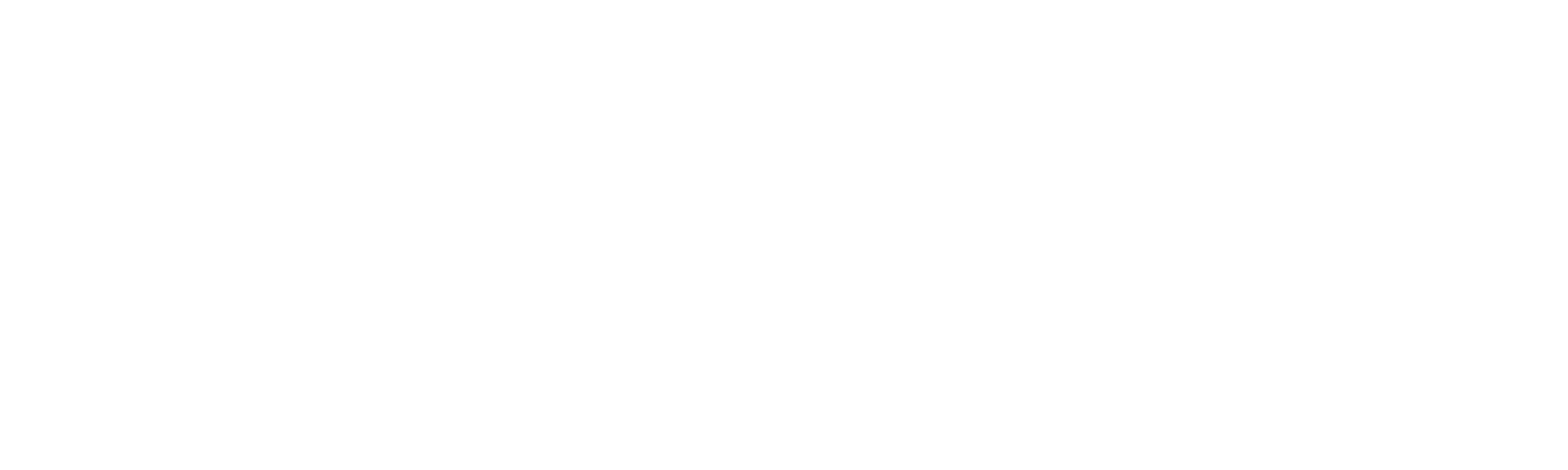 Logo RoxyCloud